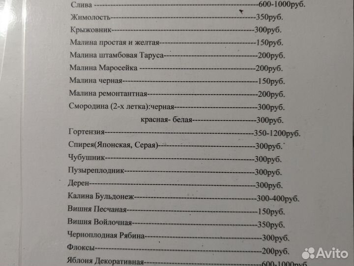 Продажа саженцев плодово ягодные