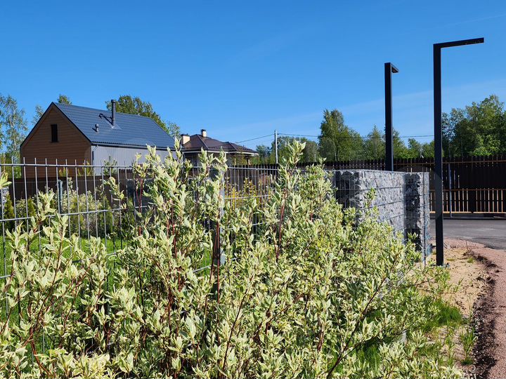 Участок 11,3 сот. (СНТ, ДНП)