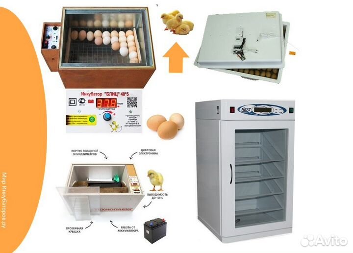 Любые инкубаторы 36-15 000 яиц
