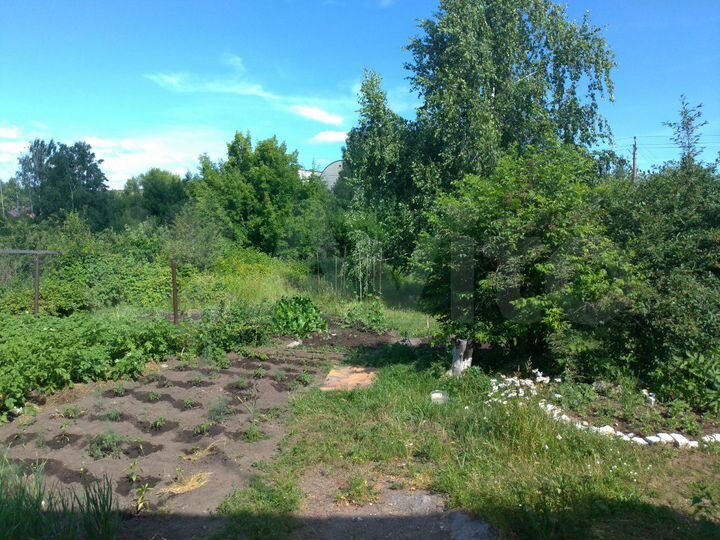 Участок 8 сот. (ИЖС)