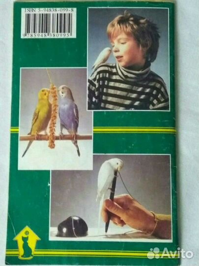 Как научить волнистого попугайчика