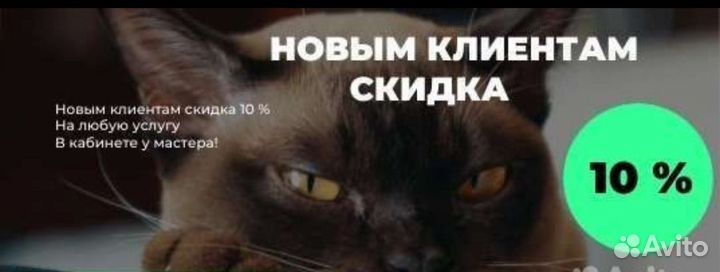 Зоопарикмахер/грумер/груминг/инъекции