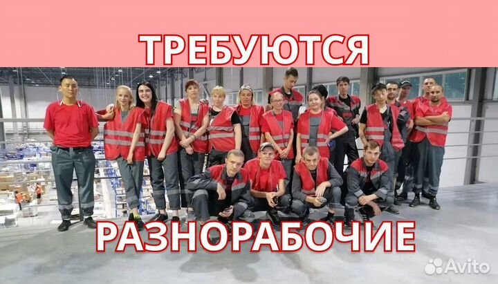 Вахта в Москве разнорабочий с питанием 15/20/30