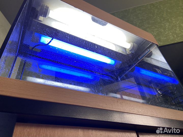 Аквариум с тумбой 60 бу