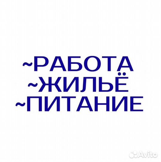 Упаковщик Вахтой, Предоставим: Проезд, Жилье, Еду