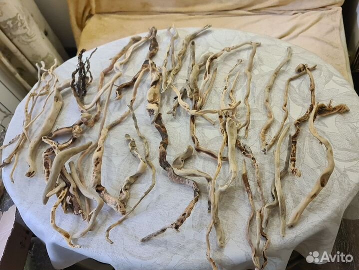 Набор морских коряг. Дрифтвуд