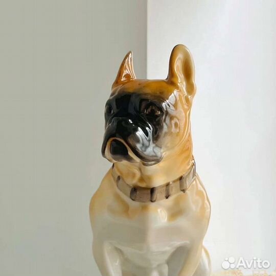 Бульдог лфз