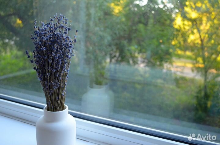 Лаванда (собрана в Крыму)