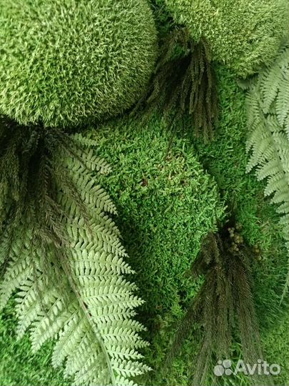 Панно на стену круглое из мха