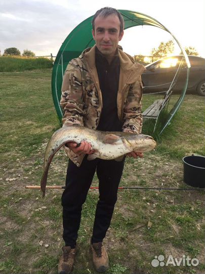 Платная рыбалка