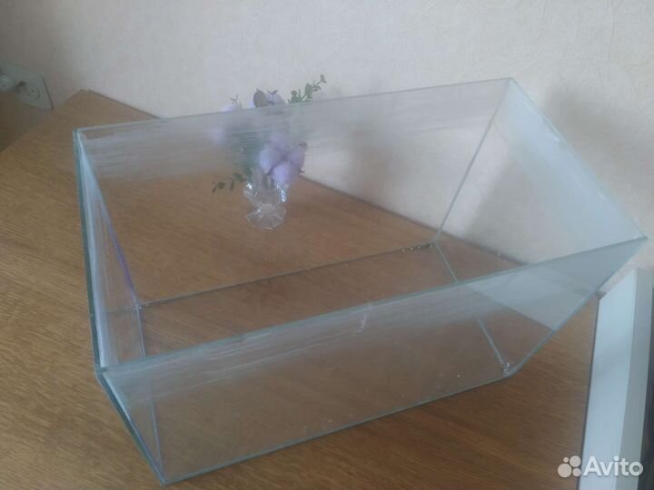 Аквариум/террариум