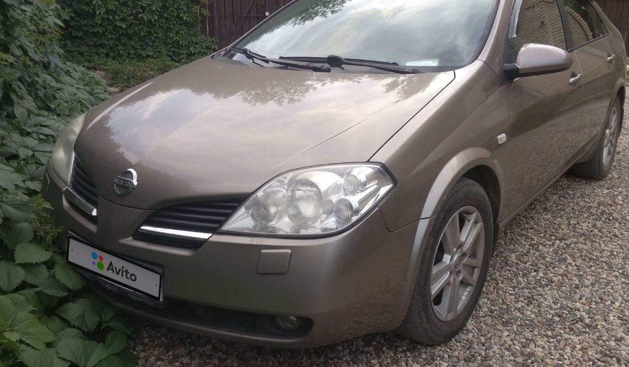 Nissan Primera: фото владельца