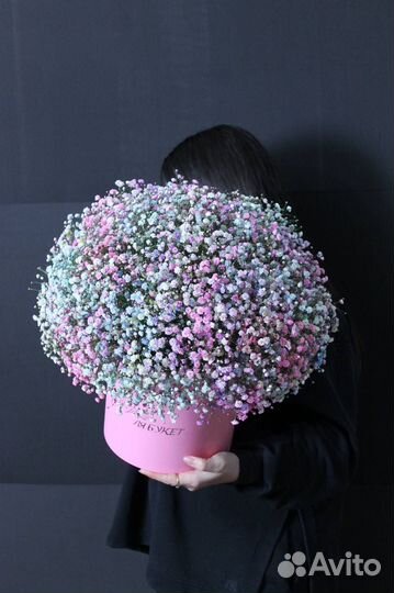 Гипсофила в коробке