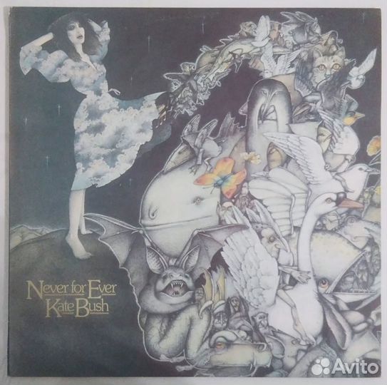 Taco, Czerwone Gitary, Kate Bush, Агата Кристи