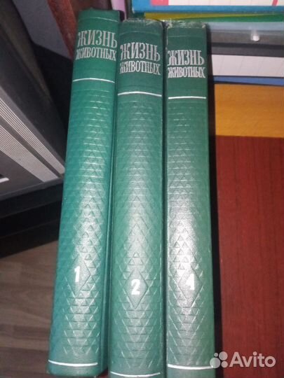 Энциклопедии 