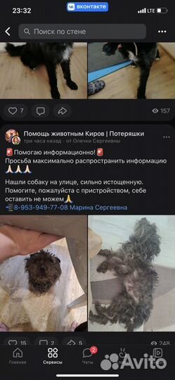 Собака в добрые руки отдам бесплатно