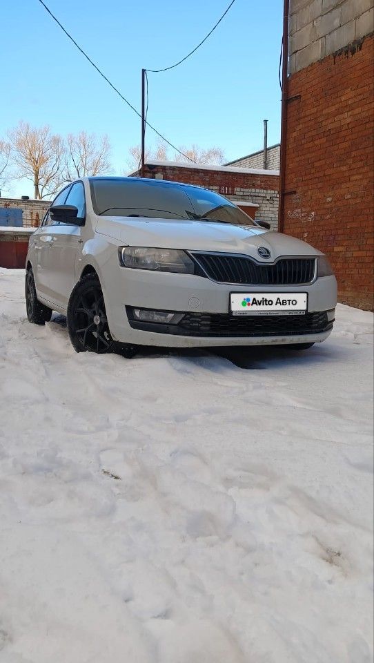 Skoda Rapid: фото владельца