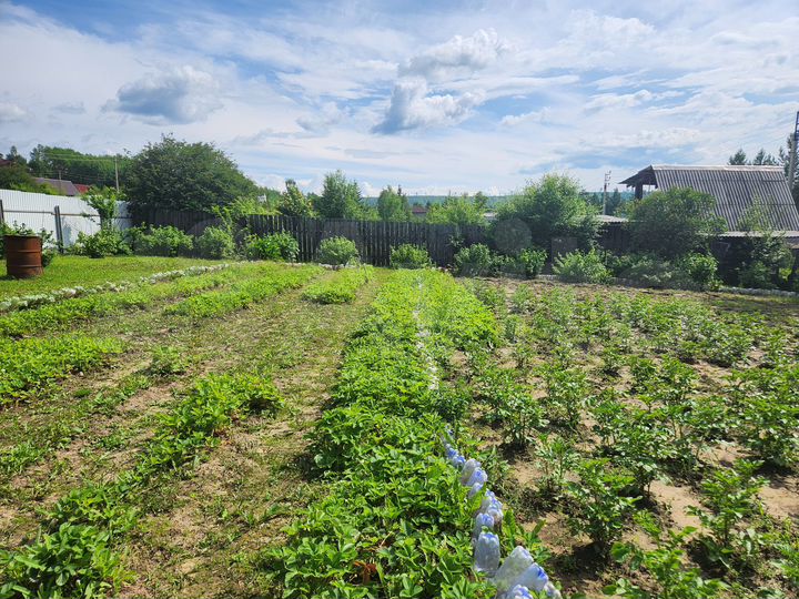 Участок 8 сот. (СНТ, ДНП)