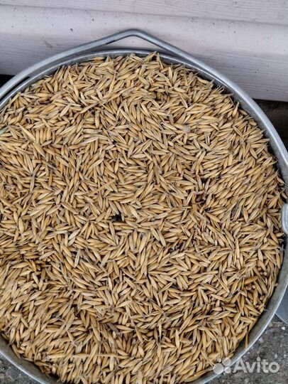 Корм, дя животных, птицы