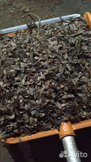 Кора сосны мульча