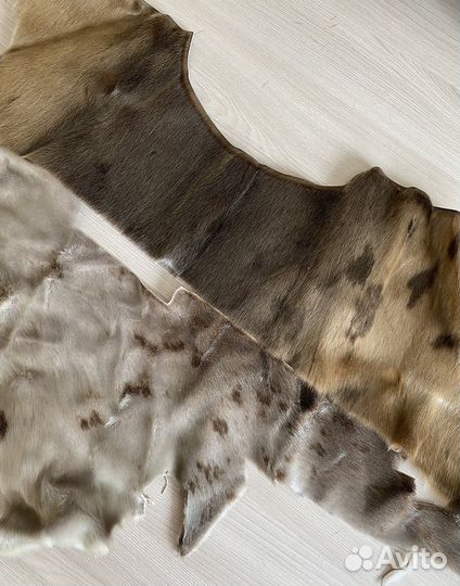 Обрезки мех куски натуральная нерпа