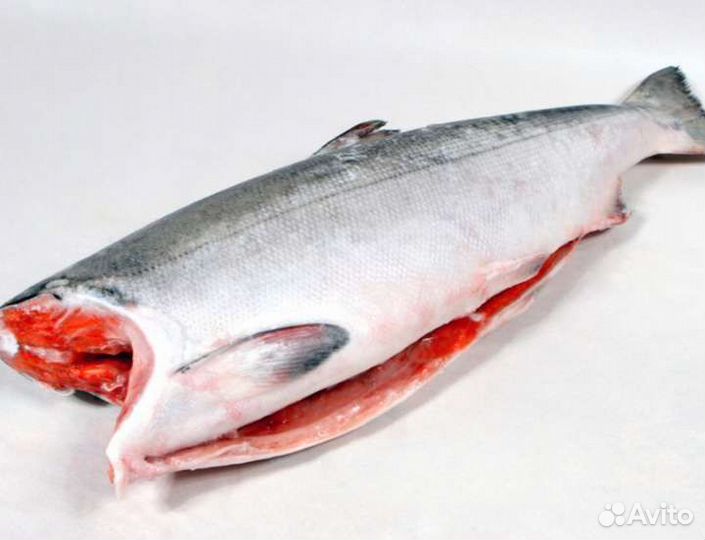 Рыба Форель морская Нерка Корюшка Сахалин