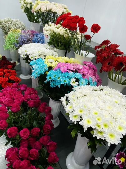 Роза, альстромерия, хризантема и другие цветы