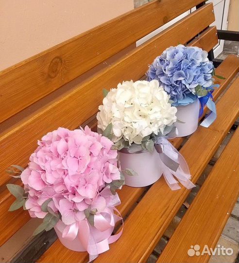 Свежие Букеты из Гортензий. Доставка/Самовывоз