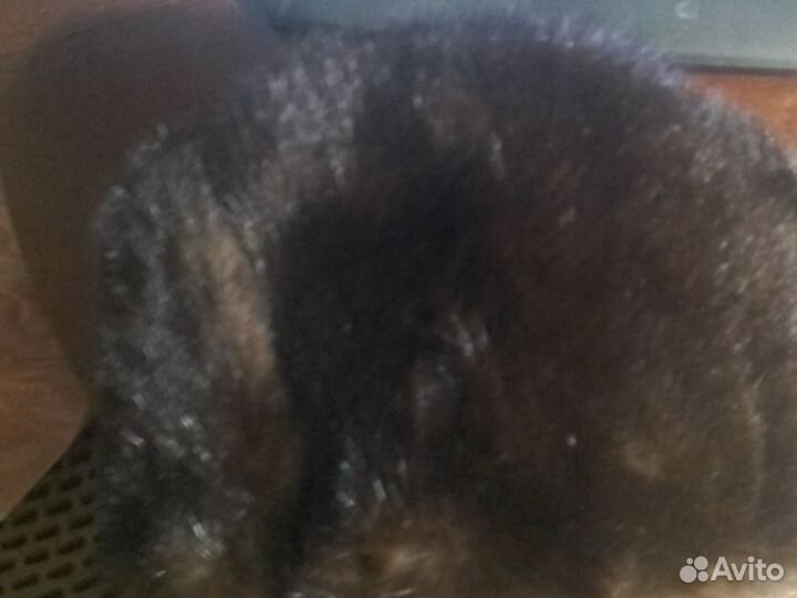 Норковая шапка мужская бу