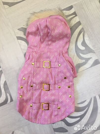 Одежда для собак