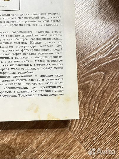 Детская энциклопедия Человек 7 том