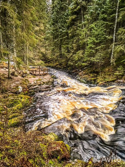 Тур 1 день все включено: Карелия, Ладога, драккар