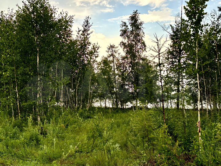 Участок 10 сот. (СНТ, ДНП)