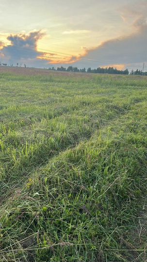 Участок 9,2 га (ИЖС)