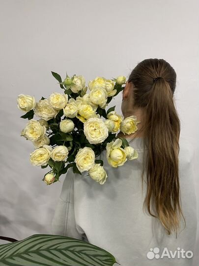 Букет из пионовидных кустовых лимонных роз