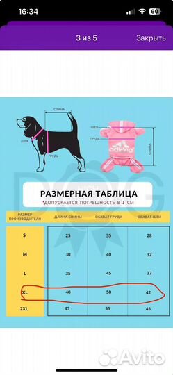 Одежда для собак мелких пород