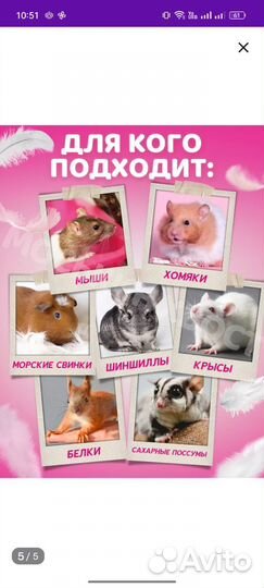 Гамак для грызунов