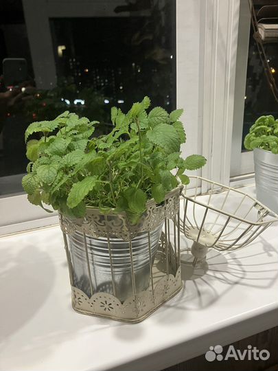 Клетка декоративная