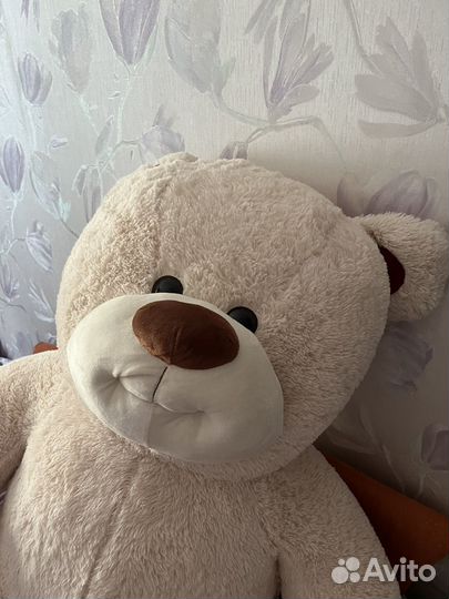 Самый большой плюшевый медведь