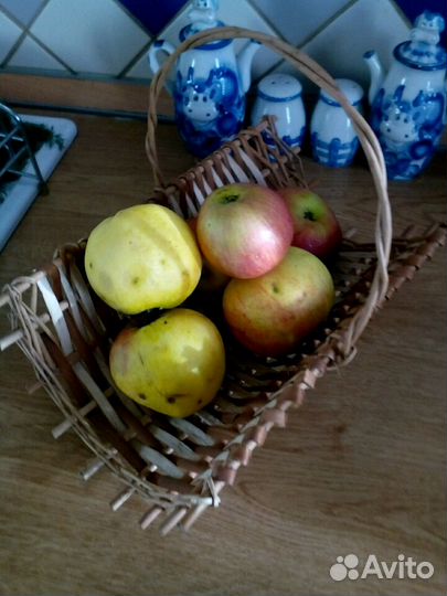 Ваза- корзина из лозы