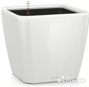 Кашпо lechuza Ouadro с автополивом + замиокулькас