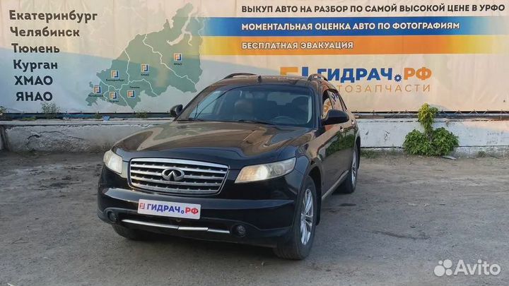 Горловина бачка омывателя Infiniti FX35 (S50) 2891