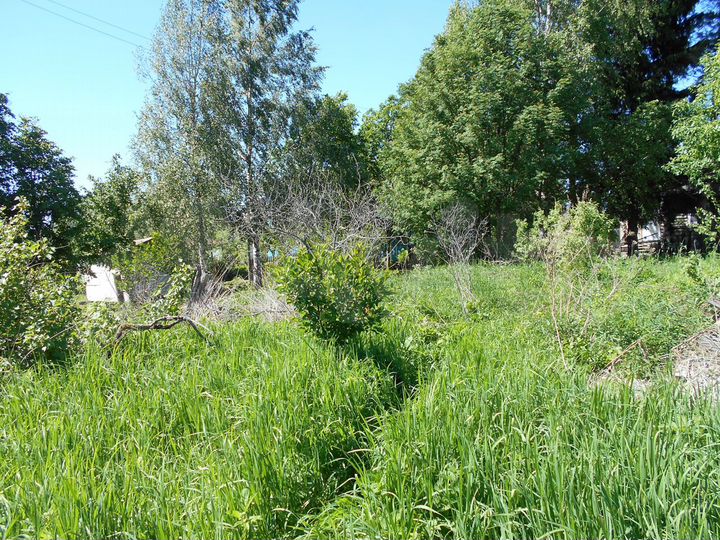 Участок 17 сот. (ИЖС)