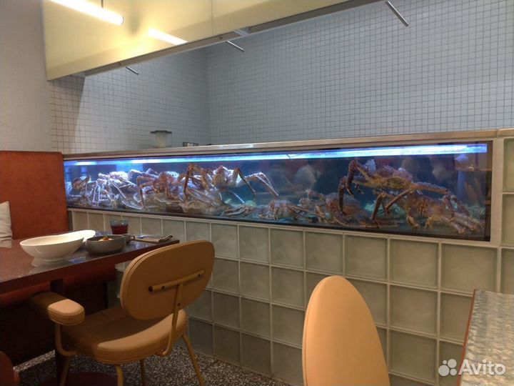 Аквариум для живых морепродуктов