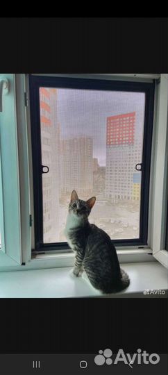 Москитные сетки на окна