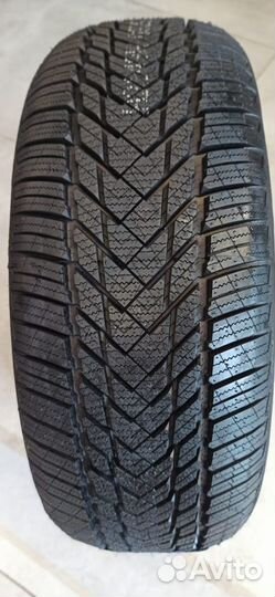 Compasal Winter Blazer HP 175/65 R14