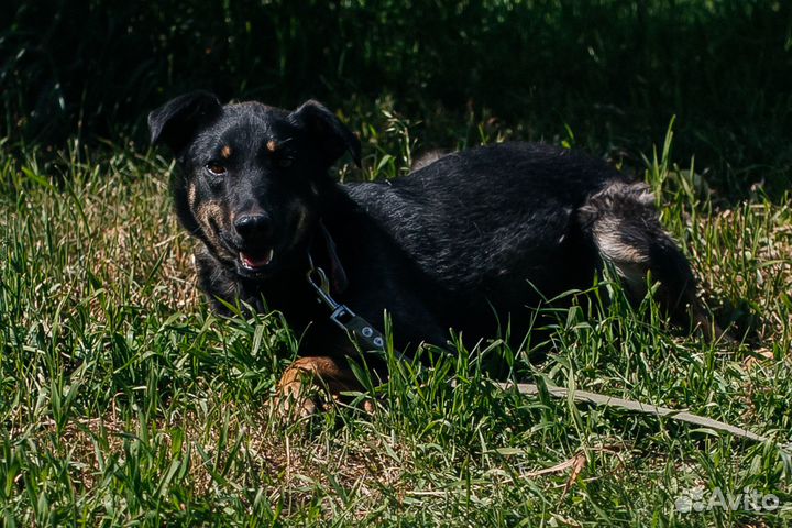 Скромная девочка