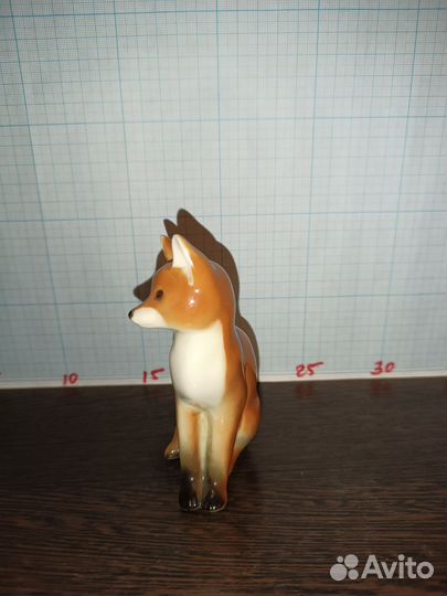 Лисица сидит