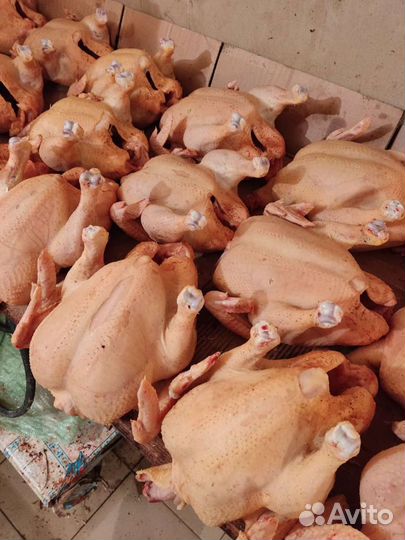 Продукты питания