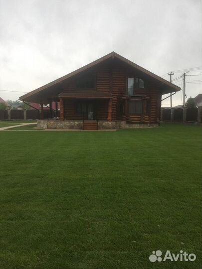 Рулонный газон от производителя